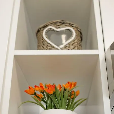 Apartment Flower 23